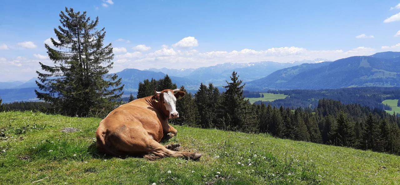 Ferienwohnung Boeck, Wengen Im Allgaeu Weitnau Екстер'єр фото