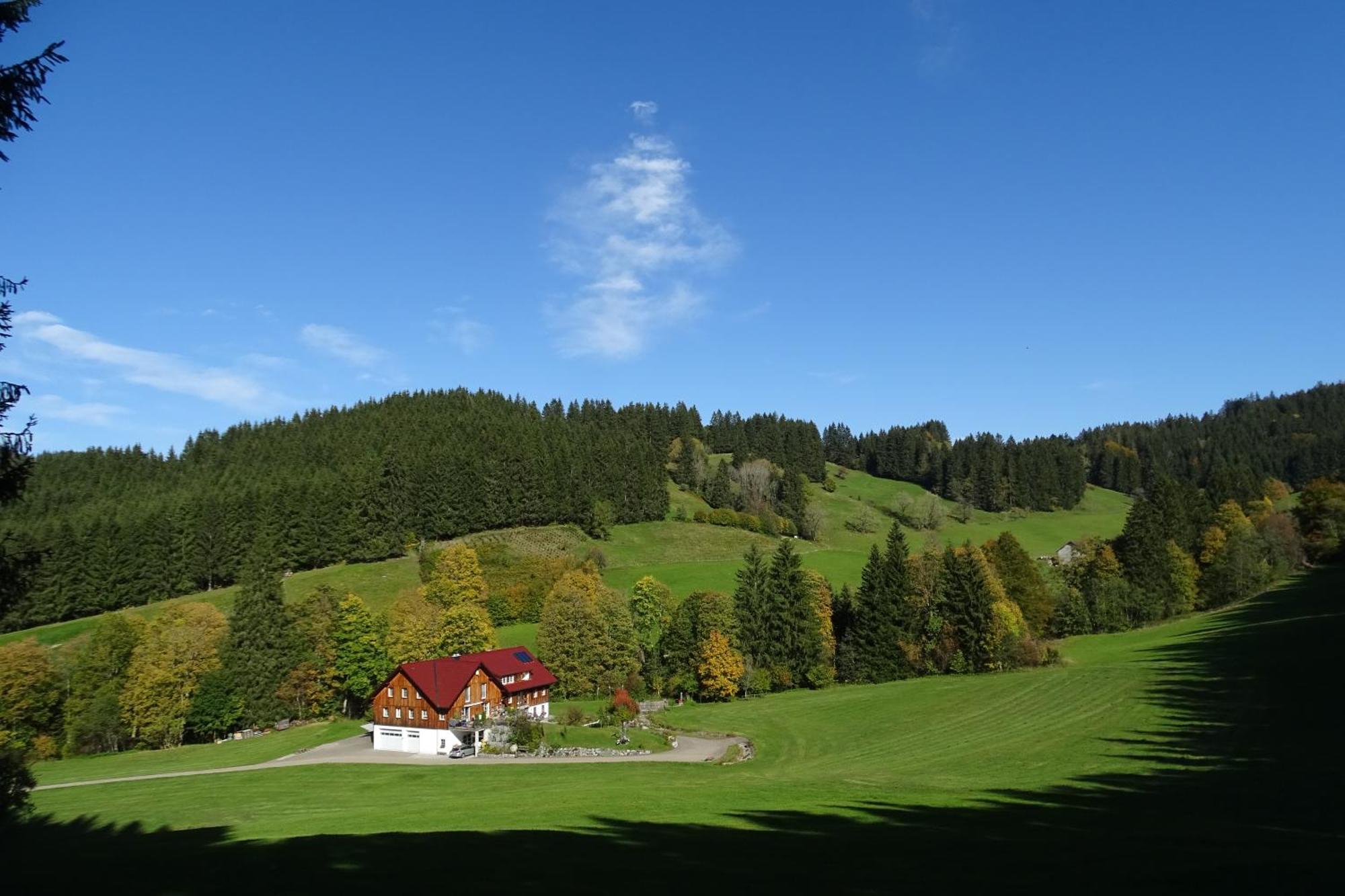 Ferienwohnung Boeck, Wengen Im Allgaeu Weitnau Екстер'єр фото